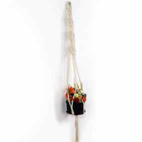Macrame Cotton Plant Hanger Without Planter cactus succulent plant  