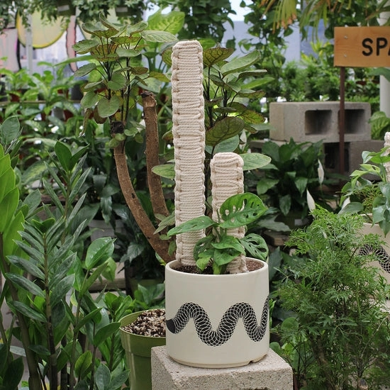 Macrame Plant Pole - 20 Inch