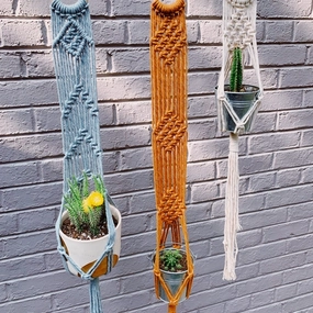 Macrame Wall Plant Hanger - Mustard plant seeds  
