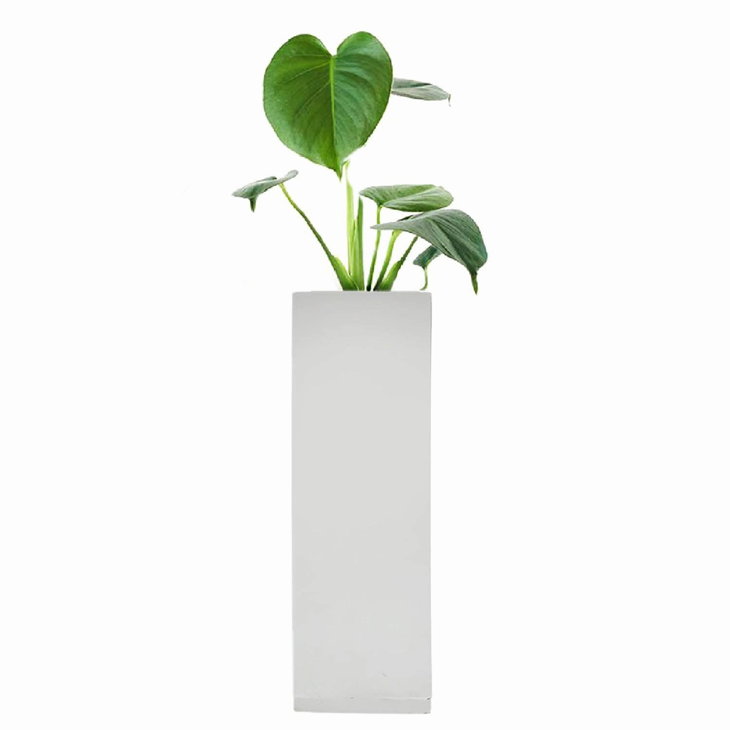 Magnetic Hydroponic or Artificial Plants Holder