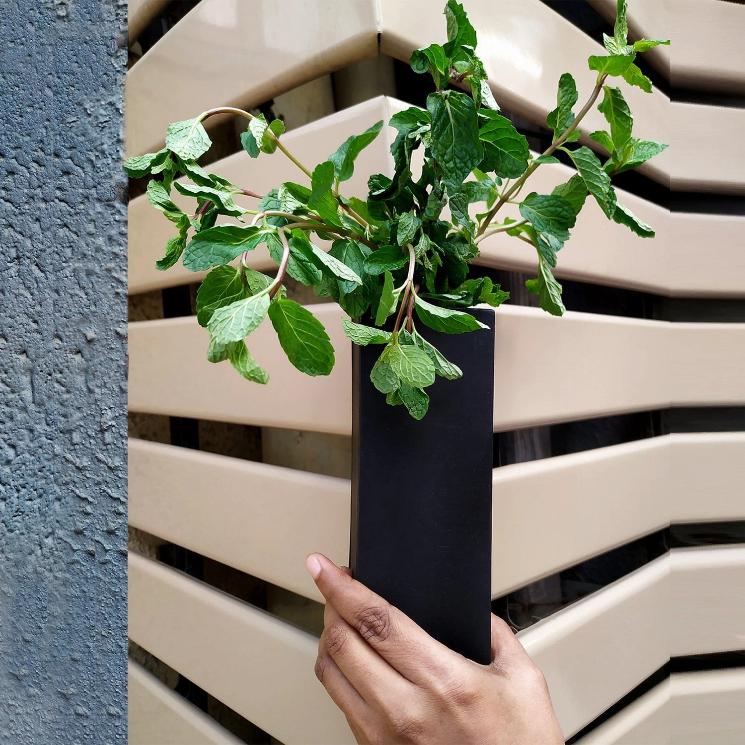 Magnetic Hydroponic or Artificial Plants Holder