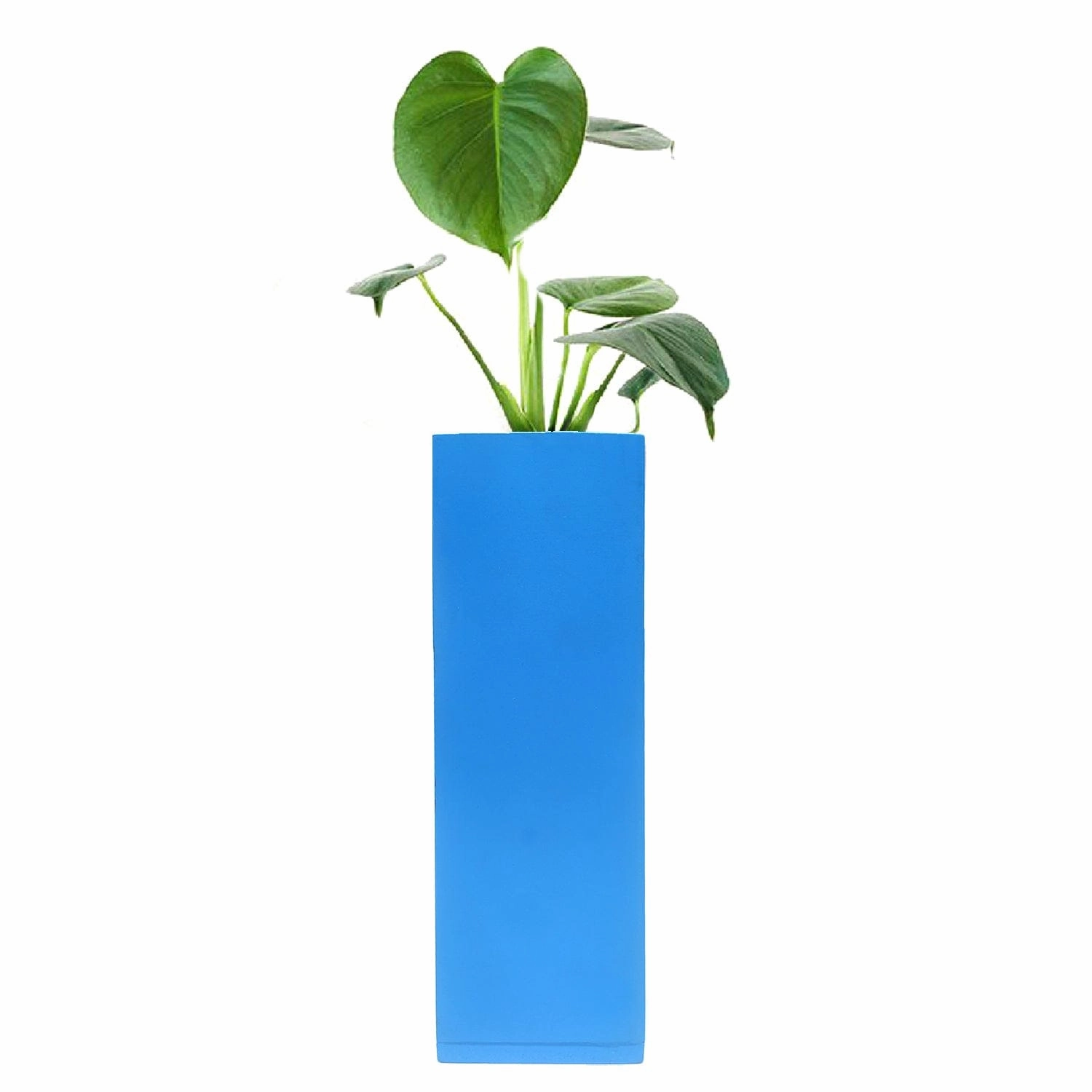Magnetic Hydroponic or Artificial Plants Holder