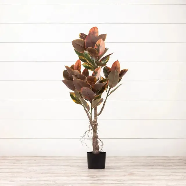 Magnolia Leaf Tree