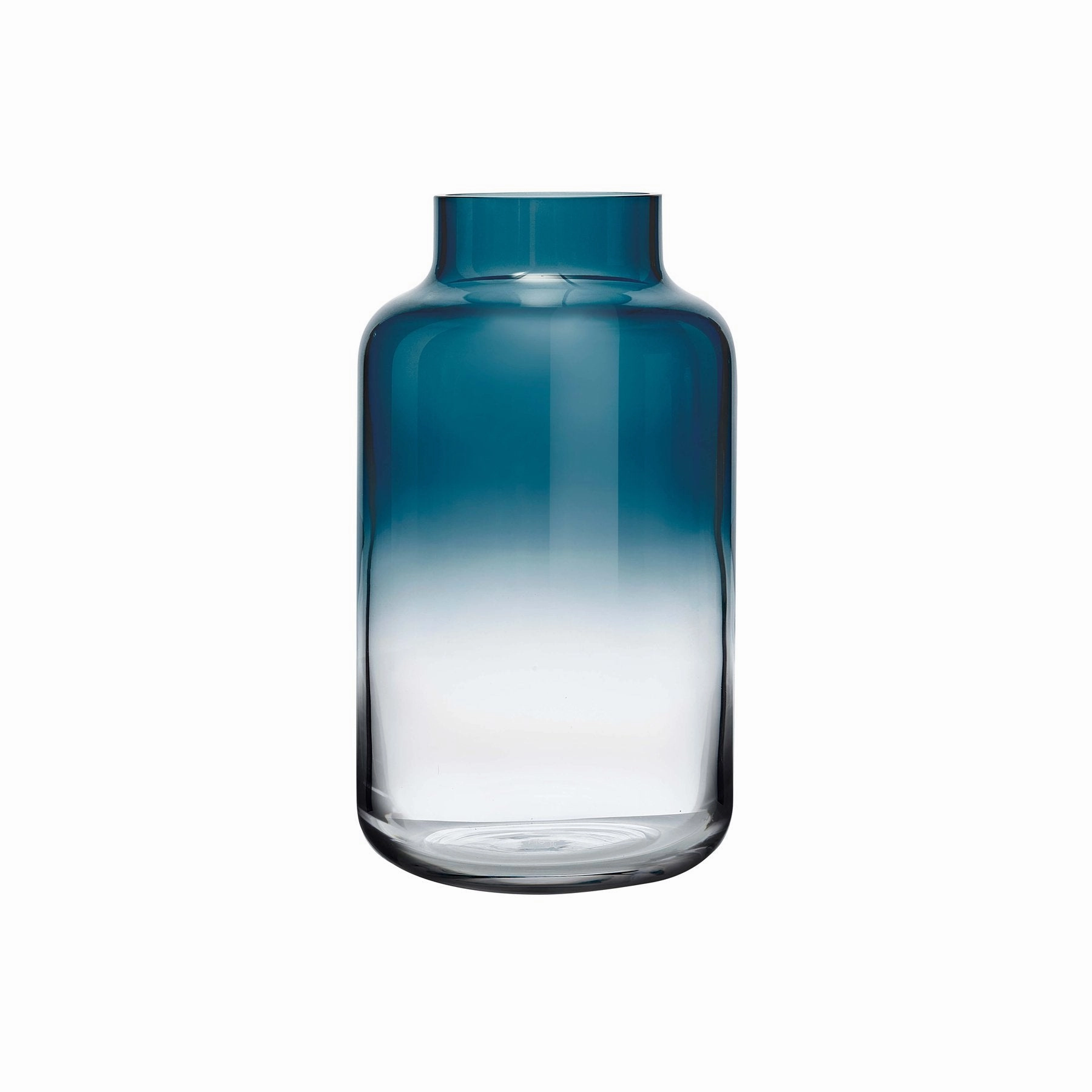 Magnolia - Medium Vase Steel Blue mini ornamental plant  