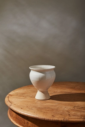 Magnolia Vase Large dried green plant  