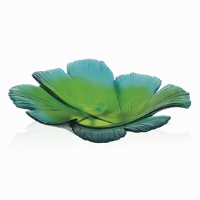 Magnum - Green Bowl mini ornamental plant  