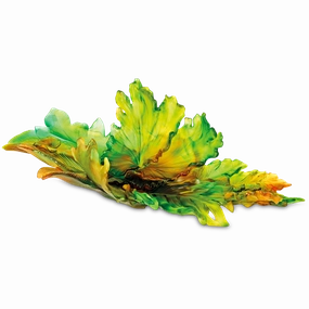 Magnum - Green Centerpiece mini ornamental plant  