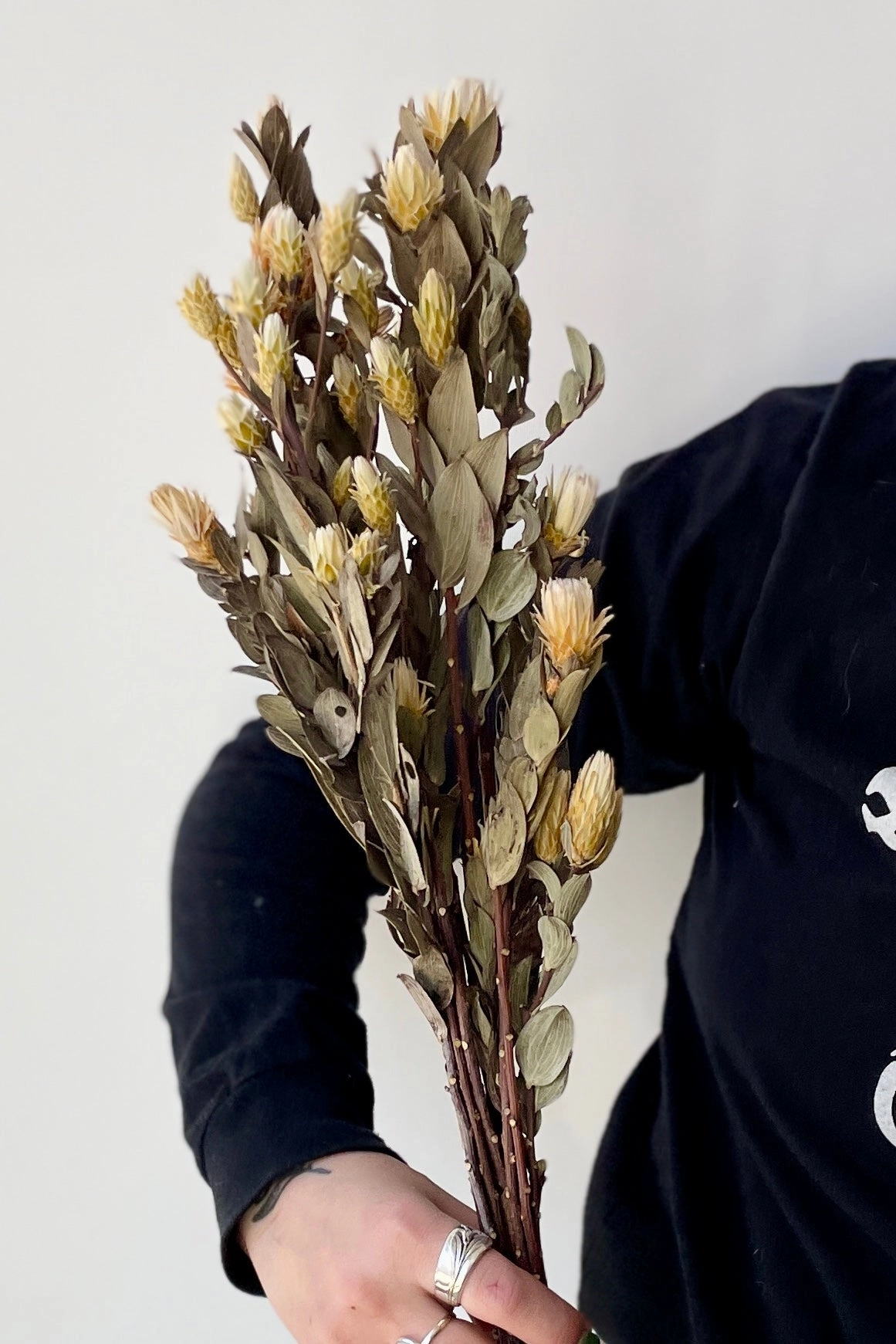 Maracumba Natural Preserved Bunch