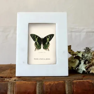 Marble Photo Frame dried flowers  