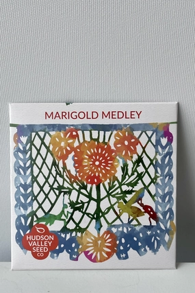 Marigold Medley Seeds Art Pack decorative flowerpot  