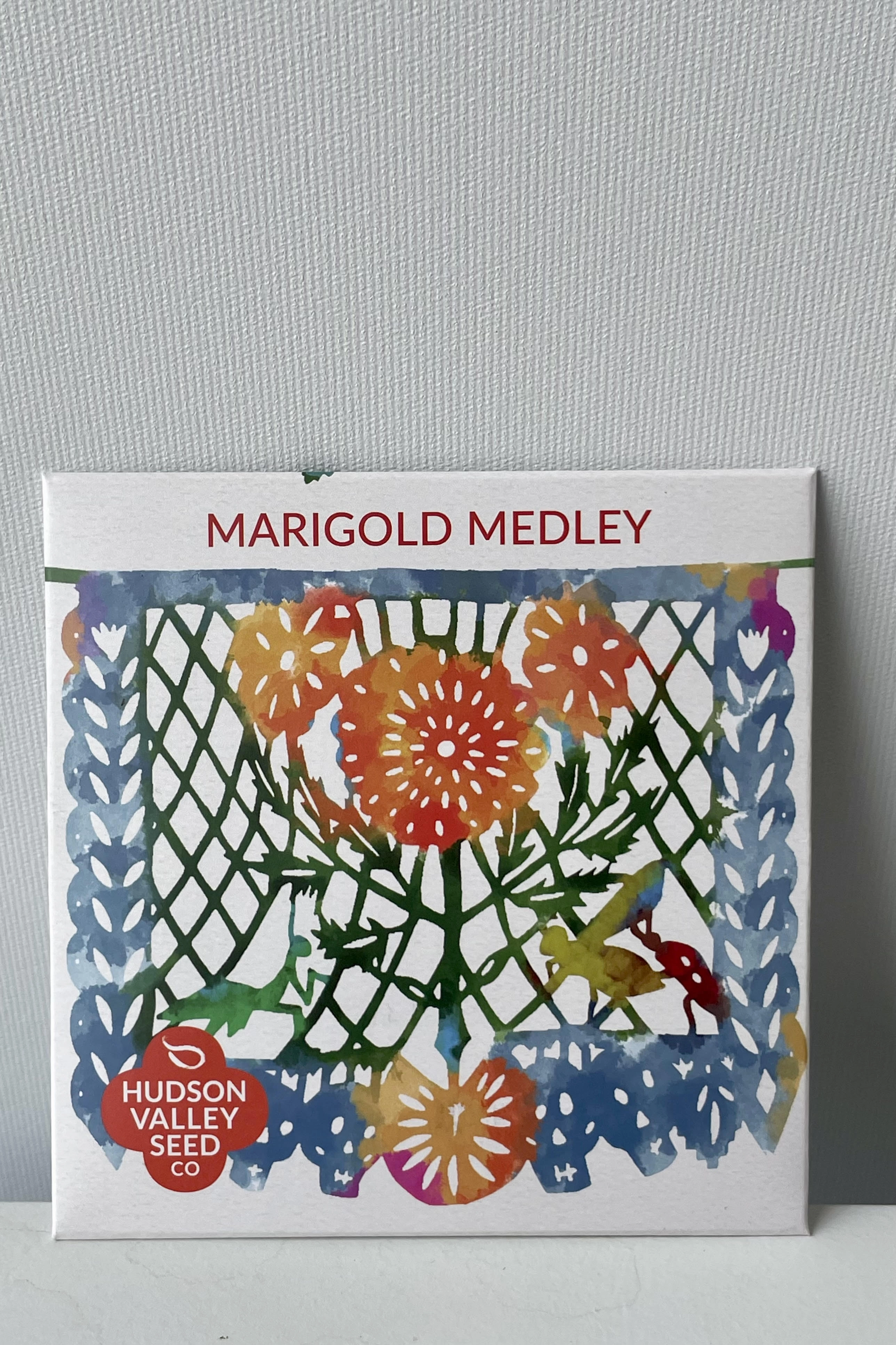 Marigold Medley Seeds Art Pack decorative flowerpot  