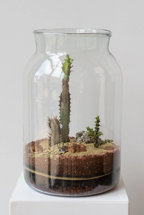 Mason 10L Jar Planted Terrarium medium flower pot  