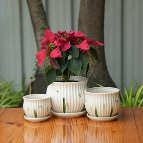 Matka Ribbed Printed Pot With Tray classic flowerpot  