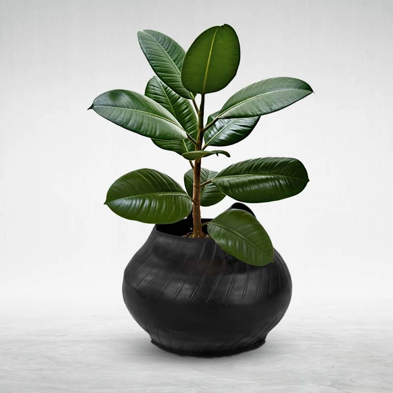 Matka Style Planter