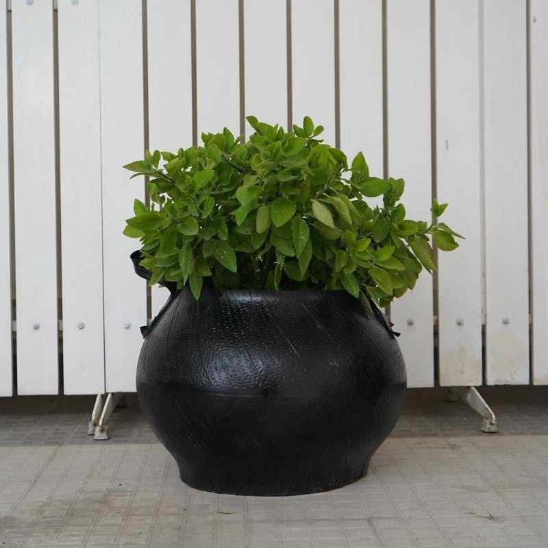 Matka Style Planter