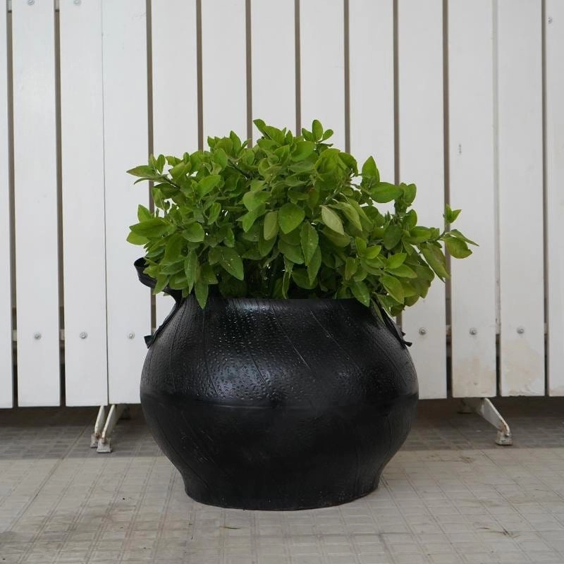 Matka Style Planter