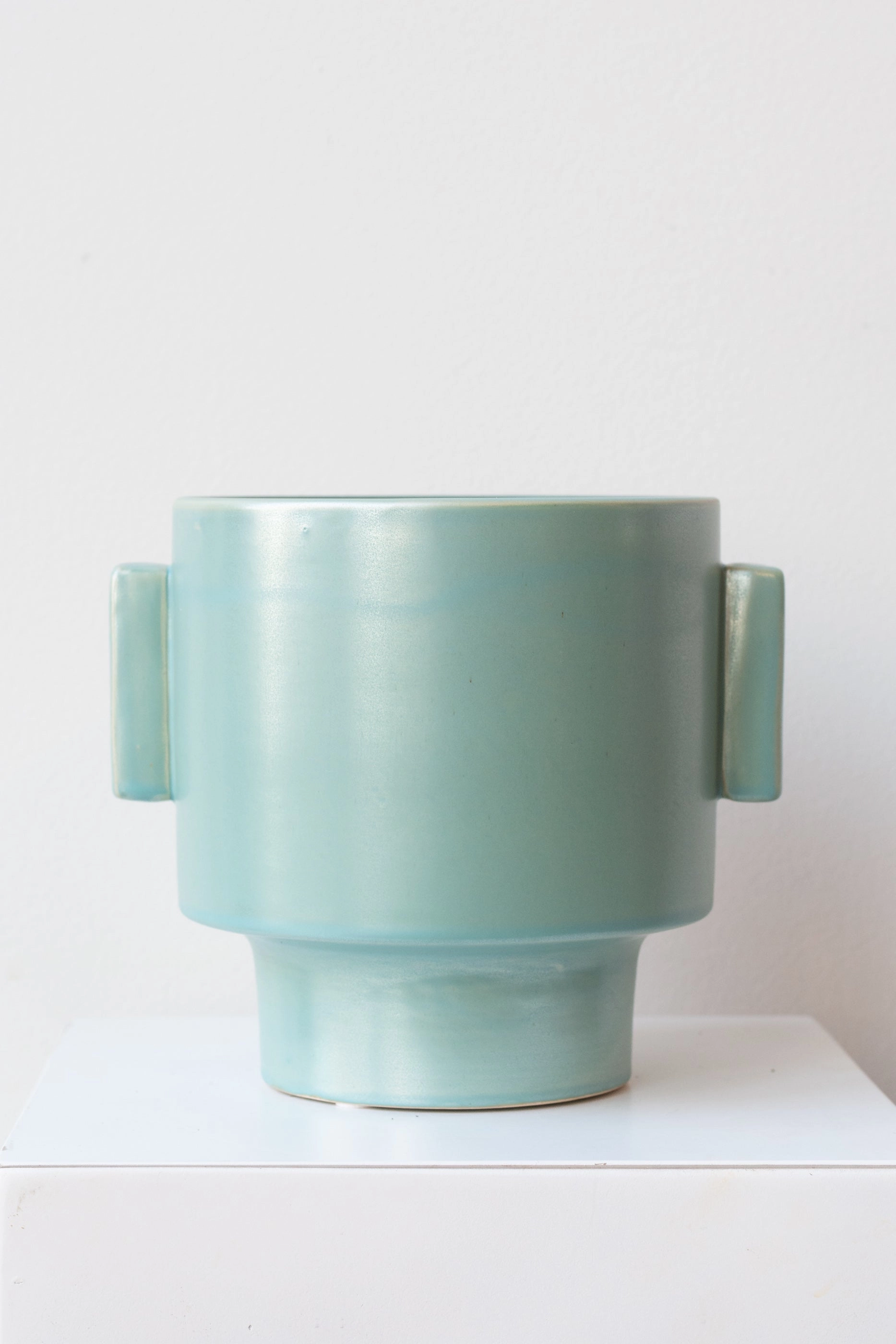 Matte Aqua 6 3/4" pot dried green plant  