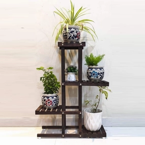 MDF Plant Stand, Medium, Brown,35.6 x 71.1 x 22.9Cms, Engineered Wood cactus succulent plant  