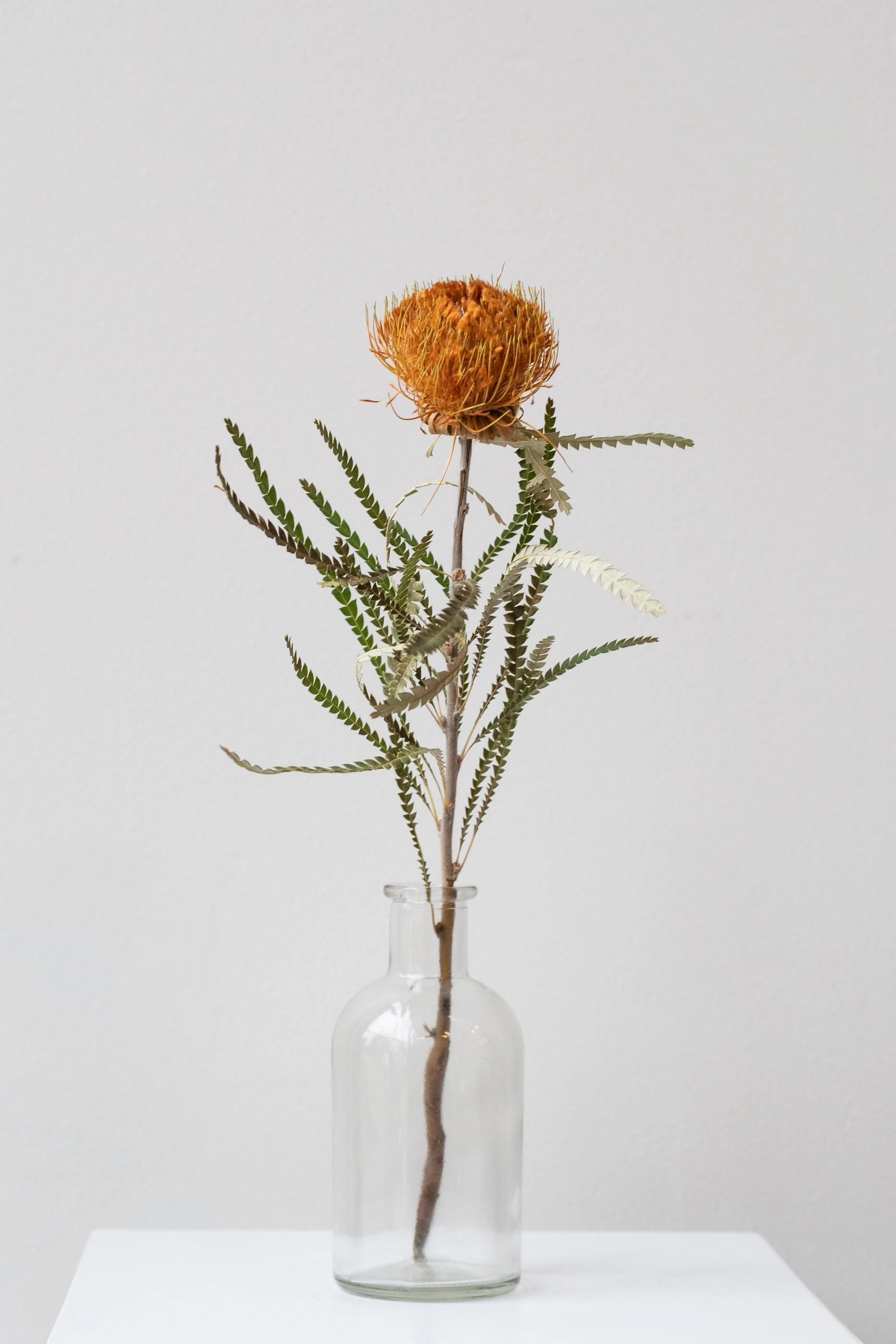 Medicine Bud Vase Clear