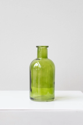 Medicine Bud Vase Green dried green plant  