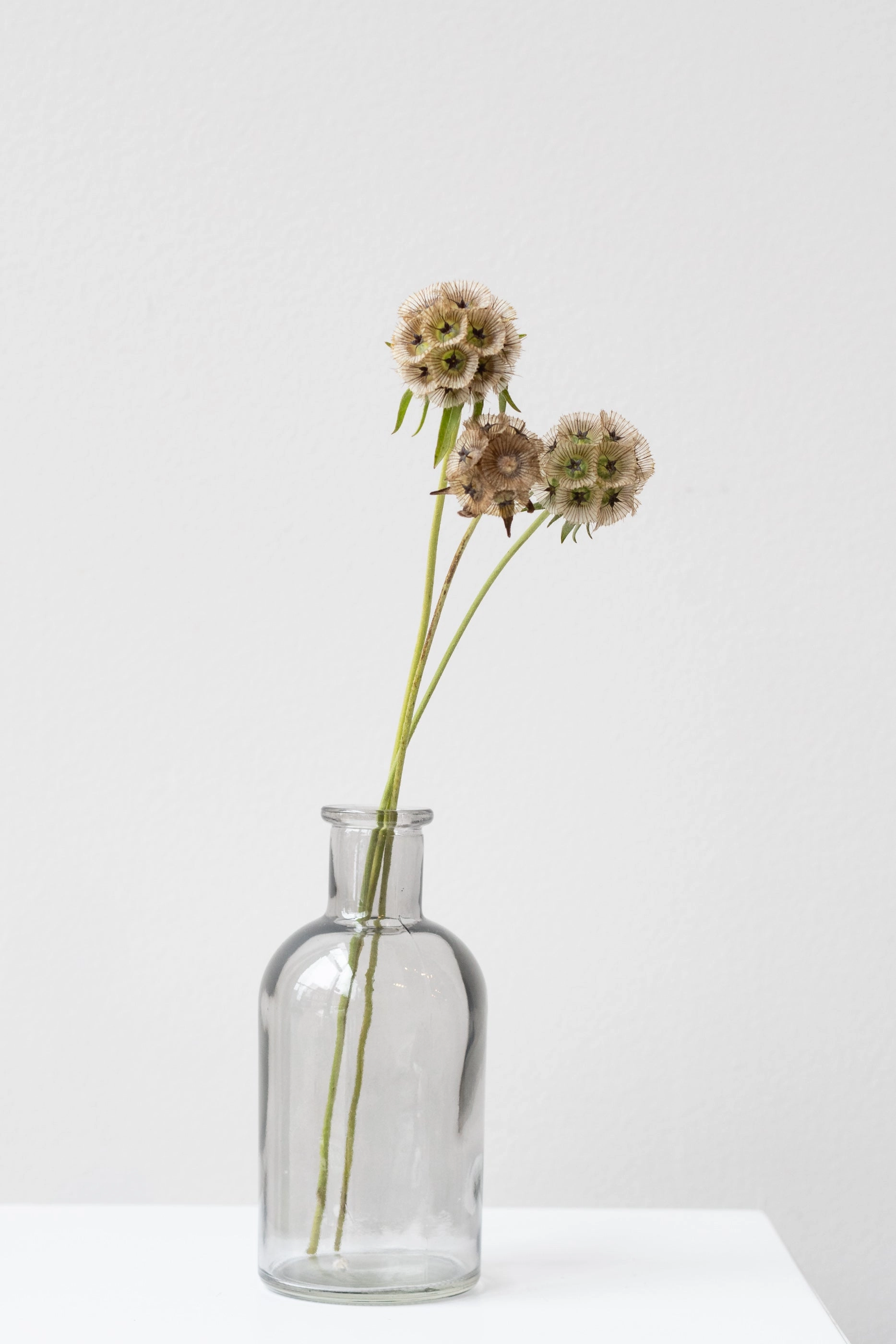 Medicine Bud Vase Smoke