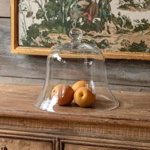 Medium Glass Bell Jar Garden Cloche Set dried flowers  