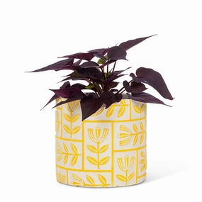 Medium Floral Grid Planter - Yellow 5"H plant seeds  