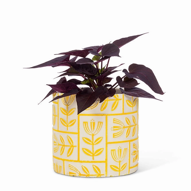 Medium Floral Grid Planter - Yellow 5"H plant seeds  