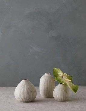 Mercado Vases (Set of 3) mini ornamental plant  