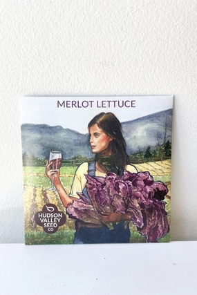 Merlot Lettuce Seeds Art Pack decorative flowerpot  