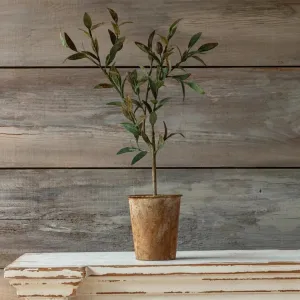 Metal Work Olive Tree dried flowers  