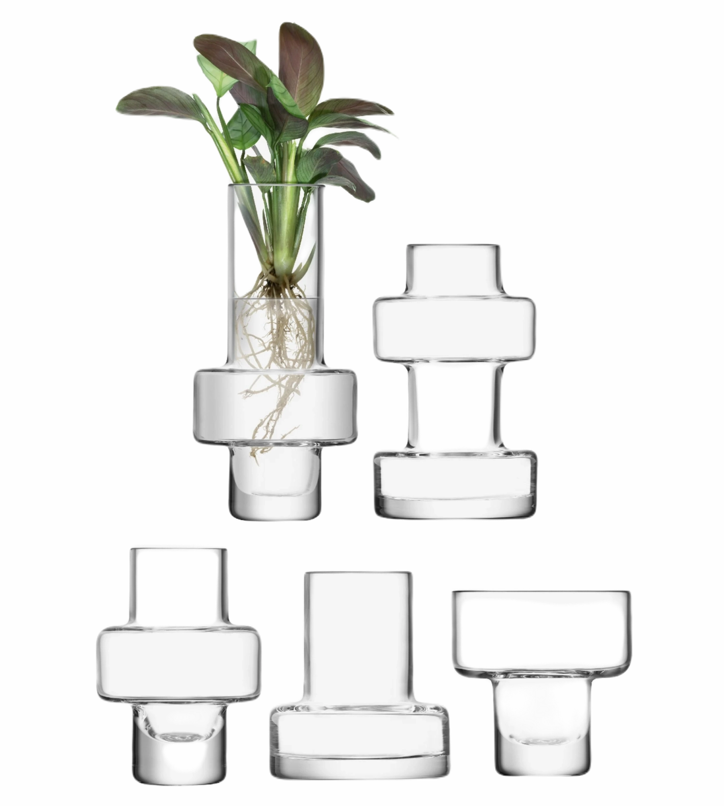 Metropole - Mini Vase (Set of 5) mini ornamental plant  