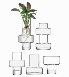 Metropole - Mini Vase (Set of 5) mini ornamental plant  