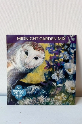 Midnight Garden Flower Mix Art Pack Seeds decorative flowerpot  