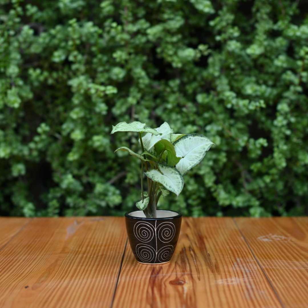 Mini Ceramic Kullad Pot For Home Dcor