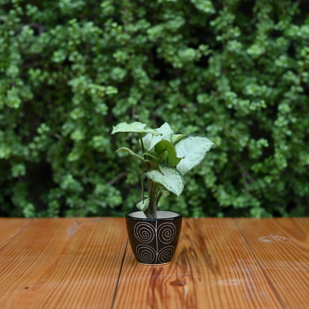 Mini Ceramic Kullad Pot For Home Dcor