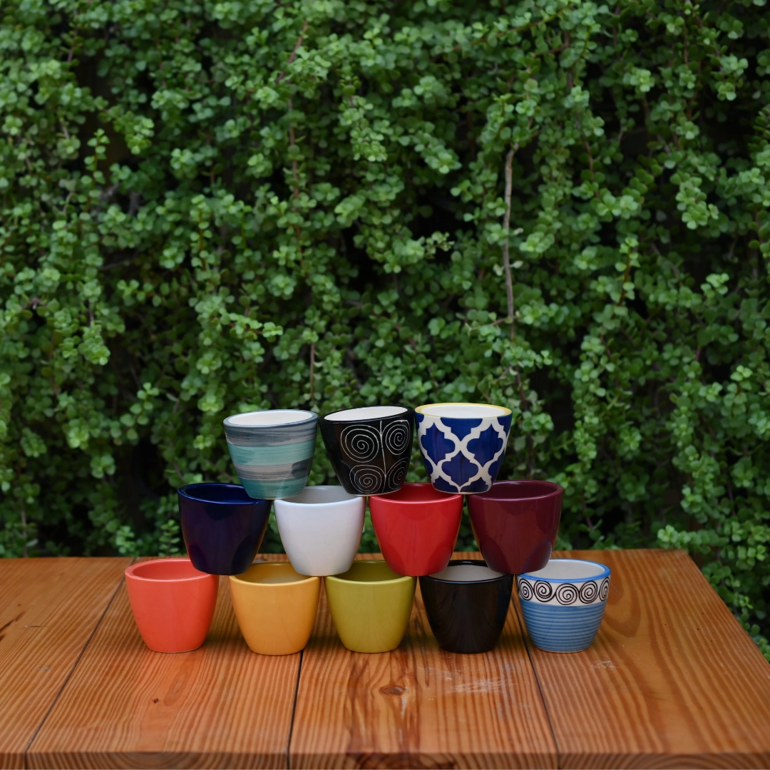 Mini Ceramic Kullad Pot For Home Dcor shade perennial  