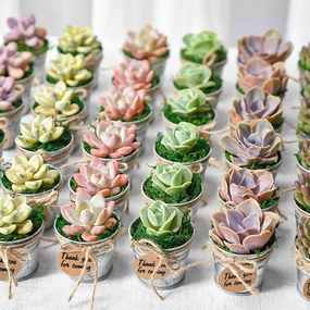 Mini Classic Metal Bucket Succulent Favors (Tag Custom Supported) mini ornamental plant  