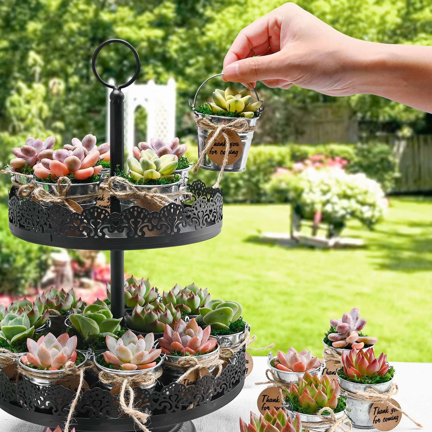 Mini Classic Metal Bucket Succulent Favors (Tag Custom Supported)