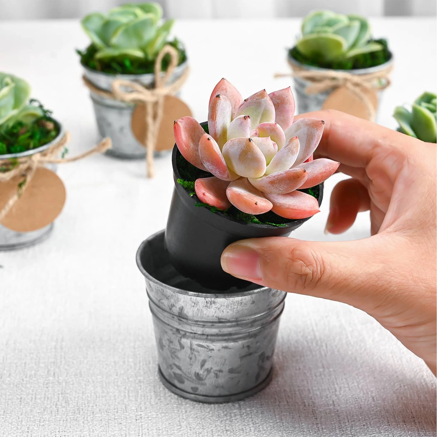 Mini Classic Metal Bucket Succulent Favors (Tag Custom Supported)