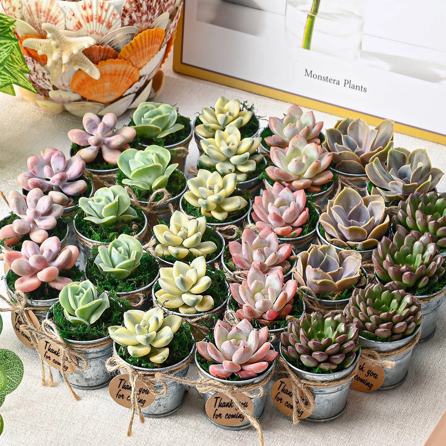 Mini Classic Metal Bucket Succulent Favors (Tag Custom Supported)