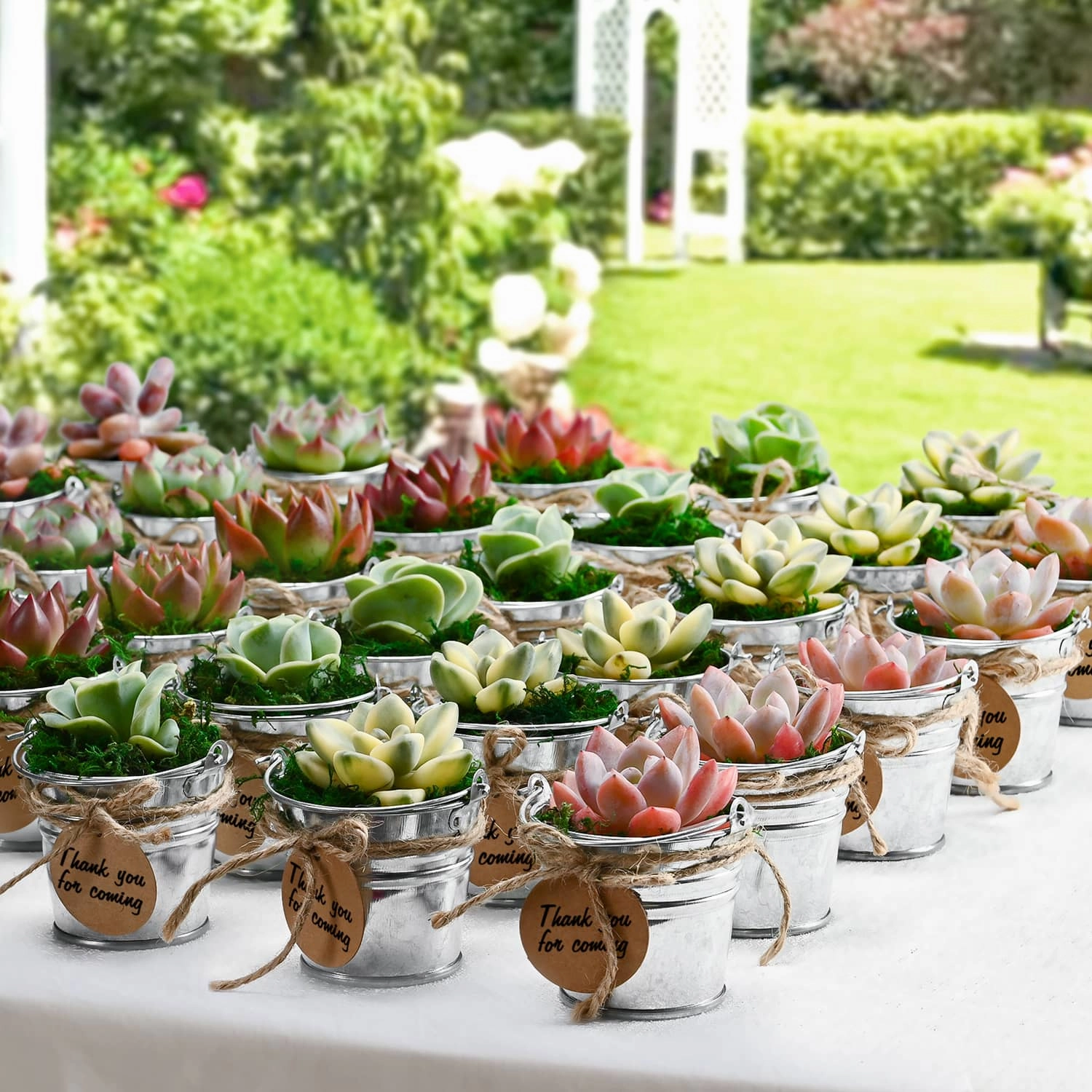 Mini Classic Metal Bucket Succulent Favors (Tag Custom Supported)