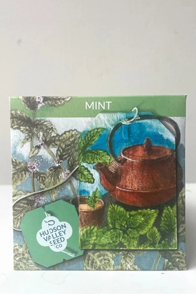 Mint Seeds Art Pack decorative flowerpot  