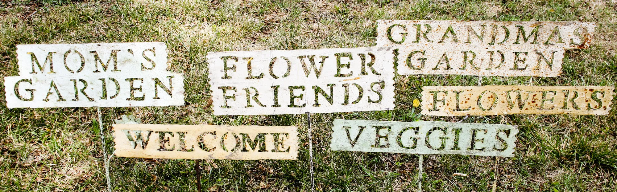 Mix of Signs Collection of 6 decorative plants  