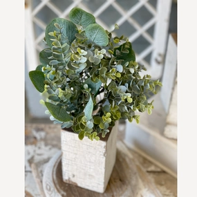 Mixed Eucalyptus Bush xl flower pot  