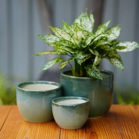 Modern Green Glazed Ceramic Planter desktop planter  