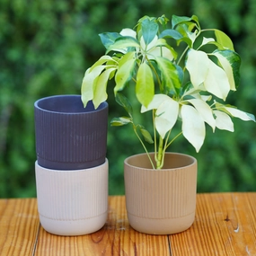 Modern Ribbed Ceramic Planter desktop planter  