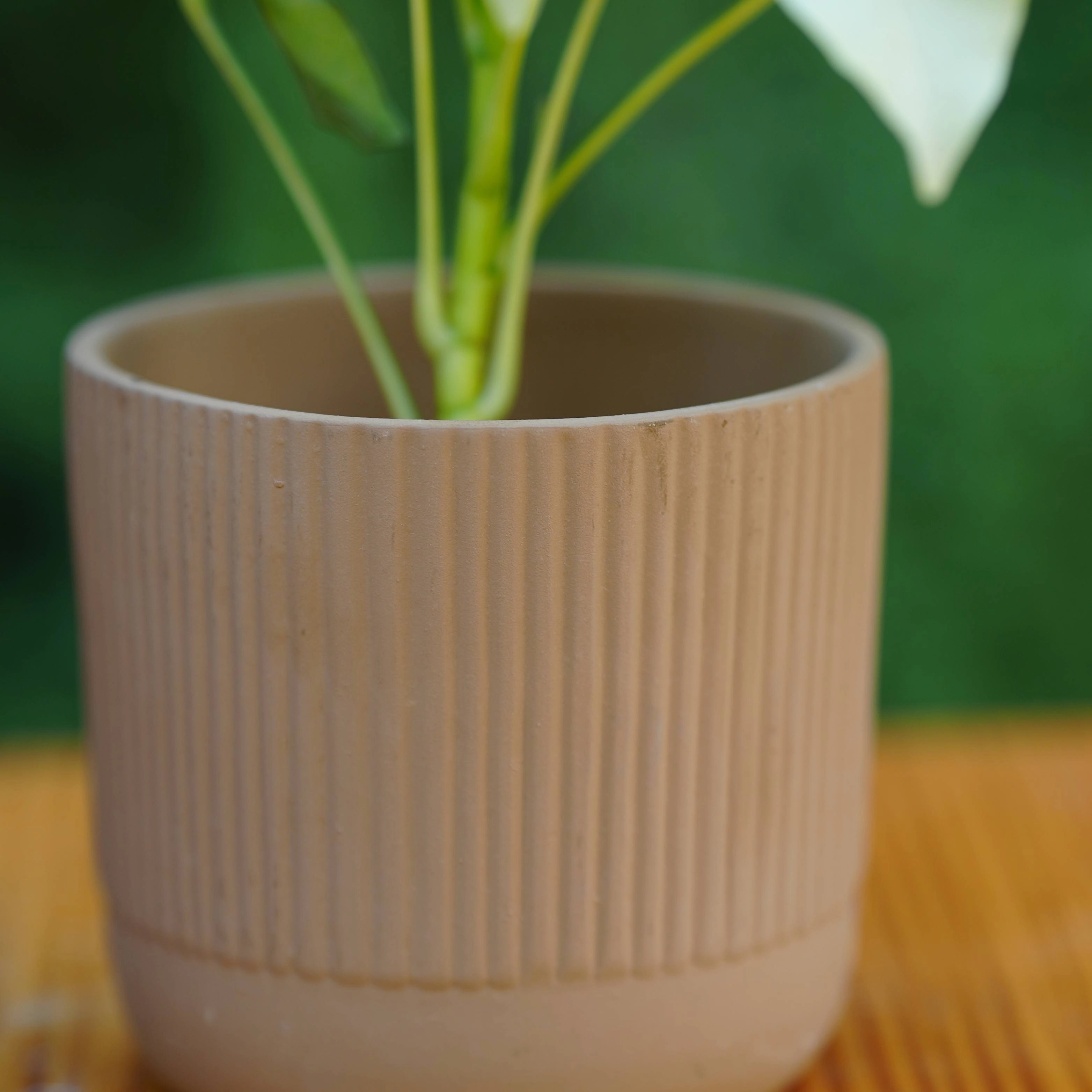 Modern Ribbed Ceramic Planter