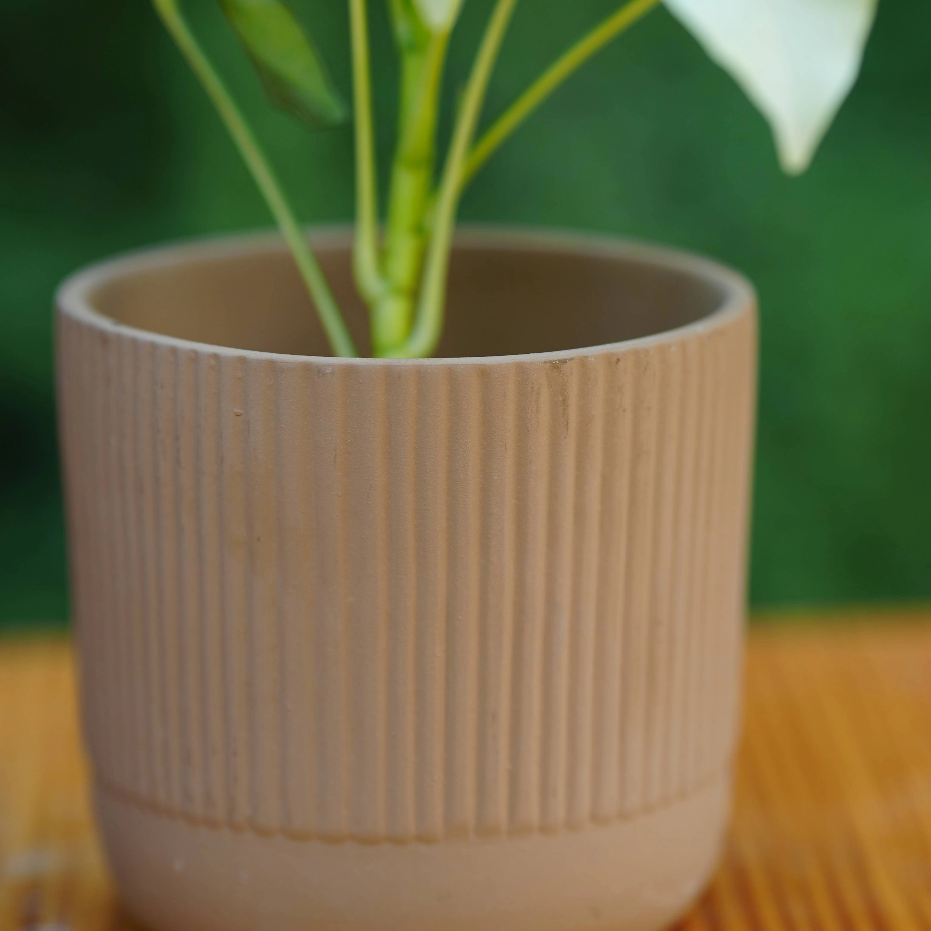Modern Ribbed Ceramic Planter