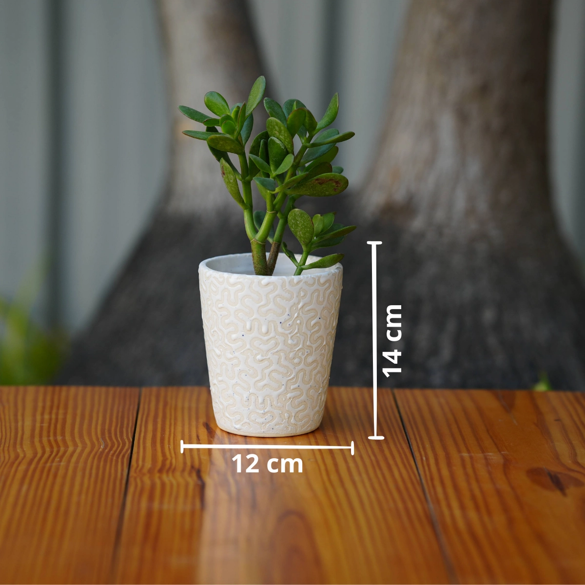 Modern White Ceramic Pot with Textured Pattern
